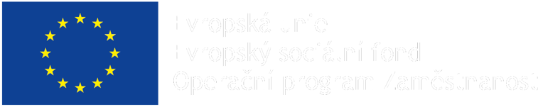Evropský sociální fond